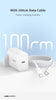 Lanex 30W Adapter with TypeC to TypeC Cable 1m