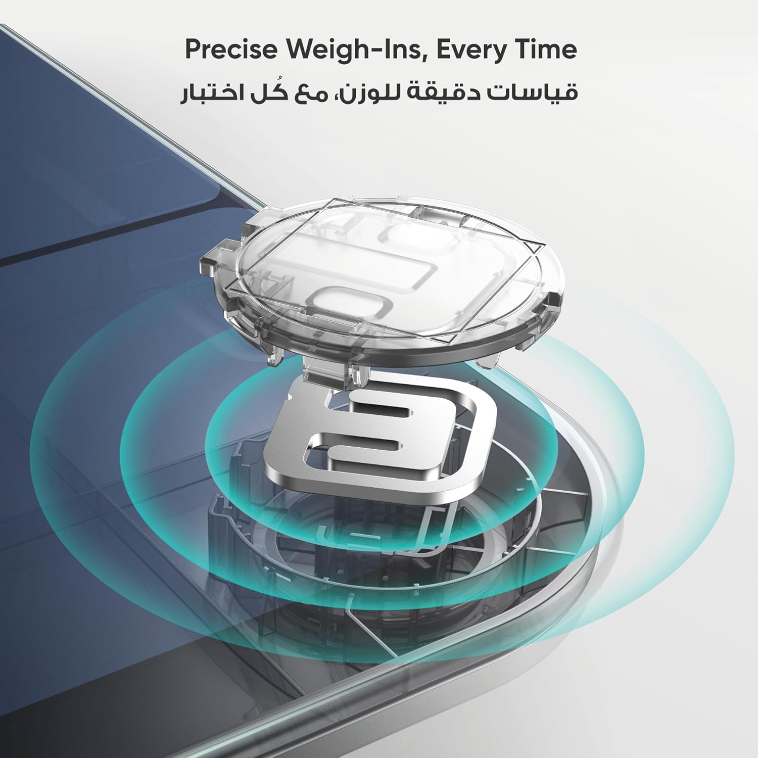 Eufy by Anker Smart Scale P3 (Black, Model T9150K11) – 16-Metric Smart Scale with 3D Avatar